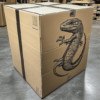 lizard box