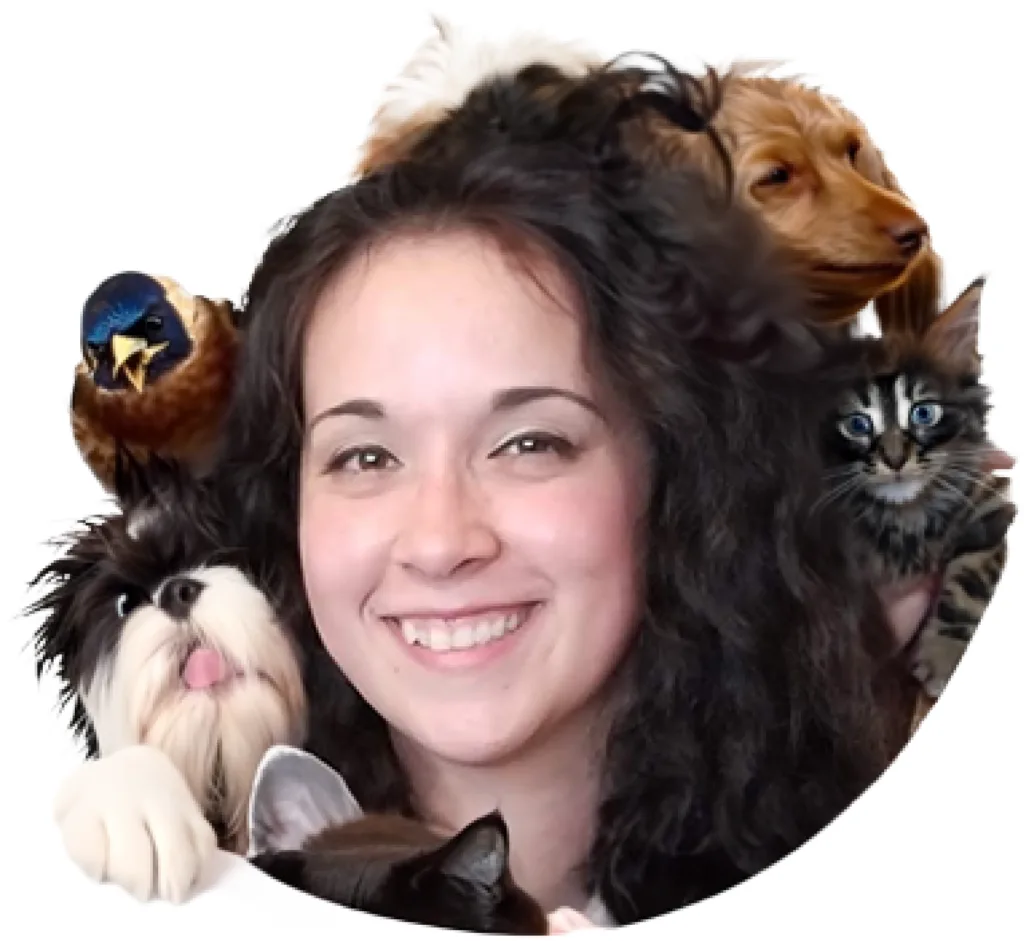 non- profit Jasmine